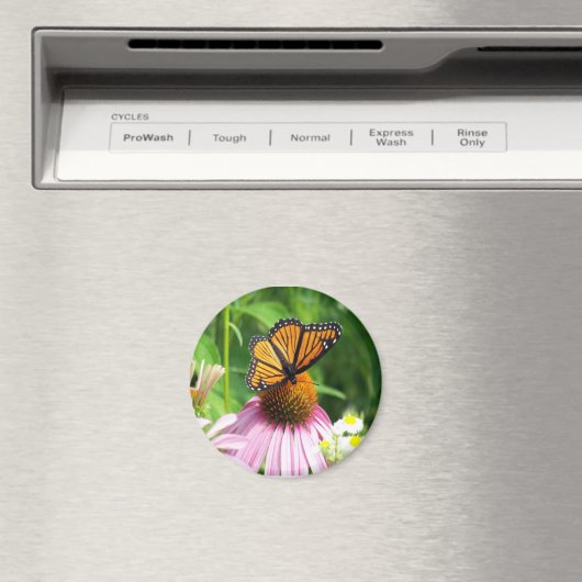 Aimant à fleur de cône papillon (In Situ (Lave-vaisselle))