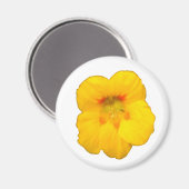 Aimant à fleur de Nasturtium jaune brillant (Recto/Verso)