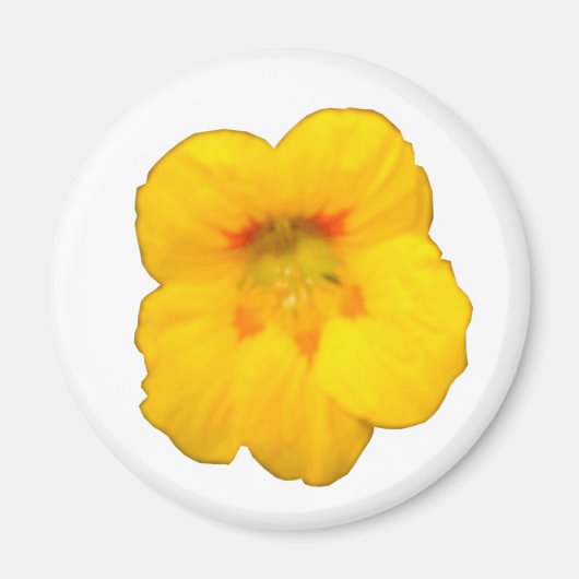 Aimant à fleur de Nasturtium jaune brillant (Devant)
