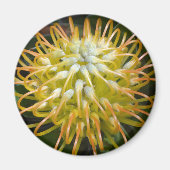 Aimant à fleur de poupée jaune (Devant)