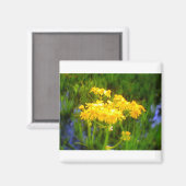 Aimant à fleur de tournesol (Recto/Verso)