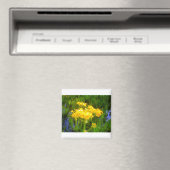 Aimant à fleur de tournesol (In Situ (Lave-vaisselle))