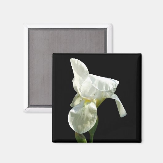 Aimant à fleur Iris (Recto/Verso)