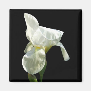 Aimant à fleur Iris