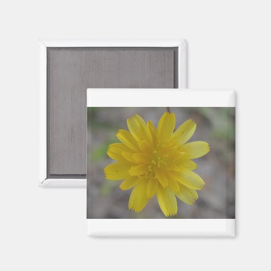 Aimant à fleur jaune (Recto/Verso)