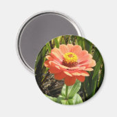 Aimant à fleur orange Zinnia (Recto/Verso)