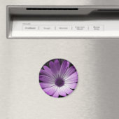 Aimant à fleur pourpre (In Situ (Lave-vaisselle))