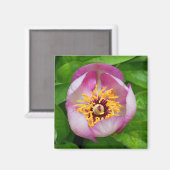 Aimant à fleur rose (Recto/Verso)