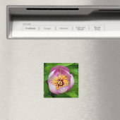 Aimant à fleur rose (In Situ (Lave-vaisselle))