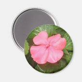 Aimant à fleur rose (Recto/Verso)