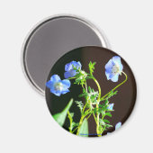 Aimant à fleurs bleu (Recto/Verso)