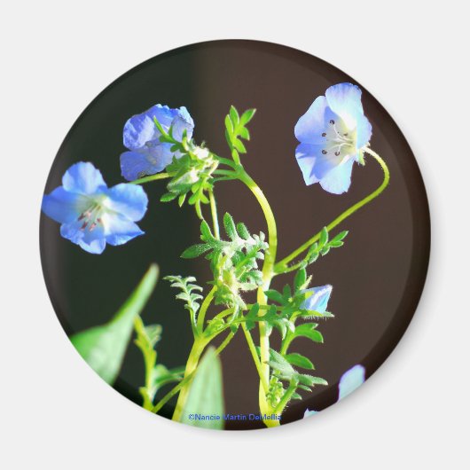 Aimant à fleurs bleu (Devant)