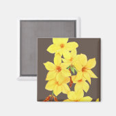 Aimant à fleurs de jasmin jaune | Aquarelle (Recto/Verso)