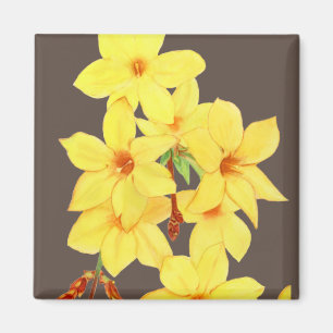 Aimant à fleurs de jasmin jaune   Aquarelle