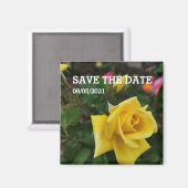 Aimant à fleurs de rose jaune (Recto/Verso)