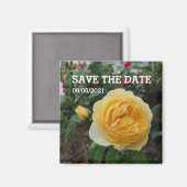 Aimant à fleurs de rose jaune (Recto/Verso)