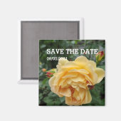 Aimant à fleurs de rose jaune (Recto/Verso)