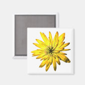 aimant à fleurs jaunes (Recto/Verso)