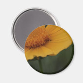 aimant à fleurs jaunes (Recto/Verso)