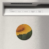 aimant à fleurs jaunes (In Situ (Lave-vaisselle))