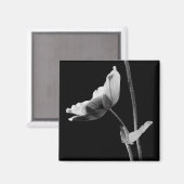 Aimant à fleurs noir et blanc (Recto/Verso)