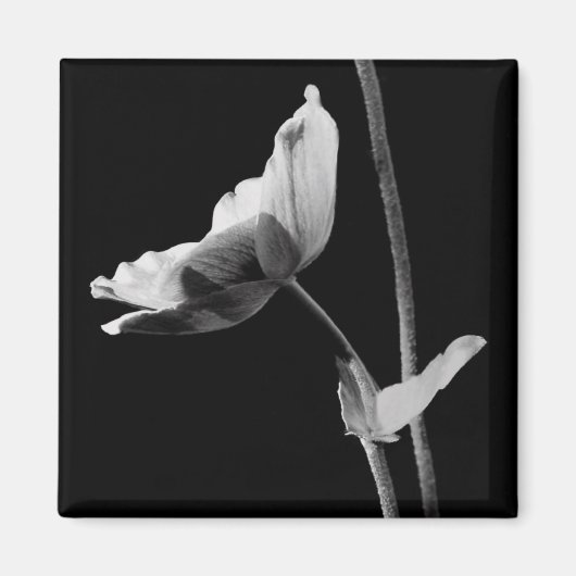 Aimant à fleurs noir et blanc (Devant)