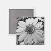 Aimant à fleurs noir et blanc (Recto/Verso)