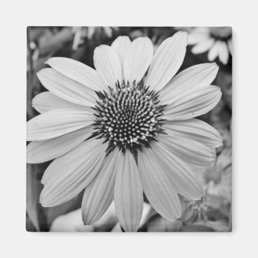 Aimant à fleurs noir et blanc (Devant)
