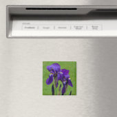 Aimant à flowe Iris violet (In Situ (Lave-vaisselle))