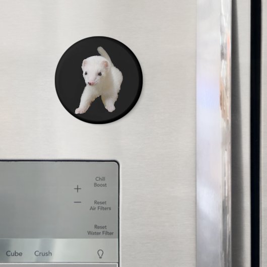 Aimant à furet pour bébé blanc (In situ (réfrigérateur))
