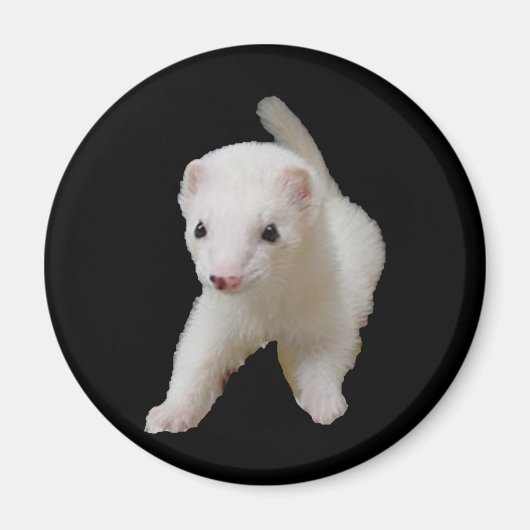 Aimant à furet pour bébé blanc (Devant)