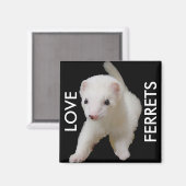 Aimant à furet pour bébé blanc (Recto/Verso)