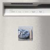 Aimant à galets (In Situ (Lave-vaisselle))