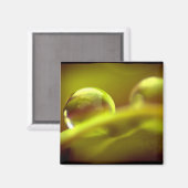 Aimant à goutte d'eau (Recto/Verso)