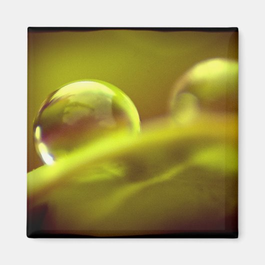 Aimant à goutte d'eau (Devant)