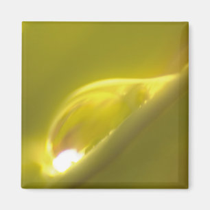 Aimant à goutte d'eau 3