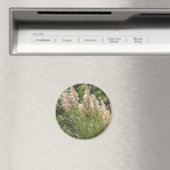 Aimant à graisse Pampas (In Situ (Lave-vaisselle))
