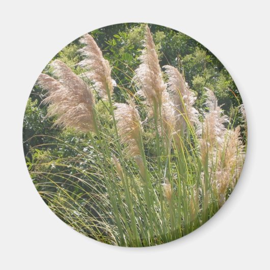 Aimant à graisse Pampas (Devant)