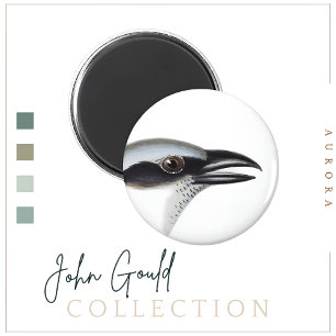 Aimant à grike de cacao à visage noir