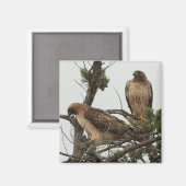 Aimant à Hawk 3 (Recto/Verso)