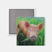 aimant à herbe à mâcher (Recto/Verso)