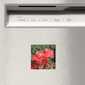 Aimant à imprimé de roses roses (In Situ (Lave-vaisselle))