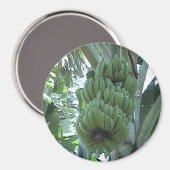 Aimant à la banane (Recto/Verso)