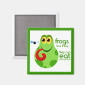 Aimant à la grenouille (Recto/Verso)