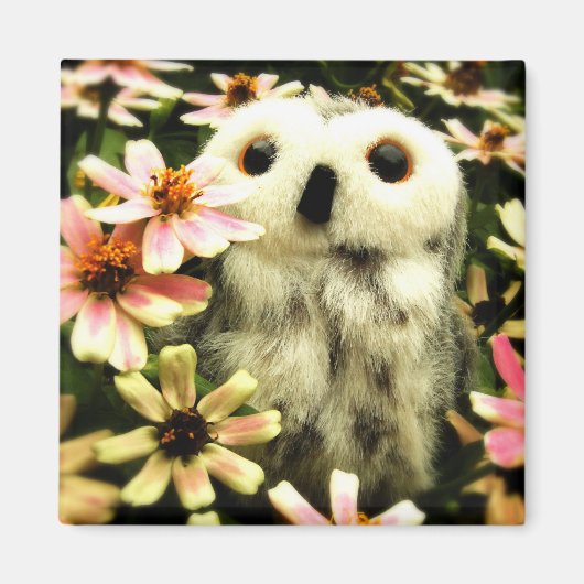 Aimant À La Recherche De Fées (Devant)