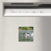 Aimant à laser (In Situ (Lave-vaisselle))