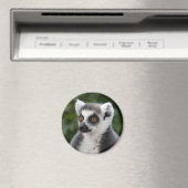 Aimant à lémur anneau (In Situ (Lave-vaisselle))