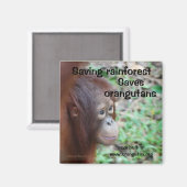 Aimant à l'habitat de l'Orangoutan (Recto/Verso)