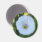 Aimant à l'ombre (Recto/Verso)