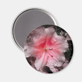 Aimant à lumière interne (Recto/Verso)